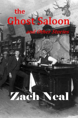 Cover of the book The Ghost Saloon and Other Stories by Zachary Stoyanov, M W Potter