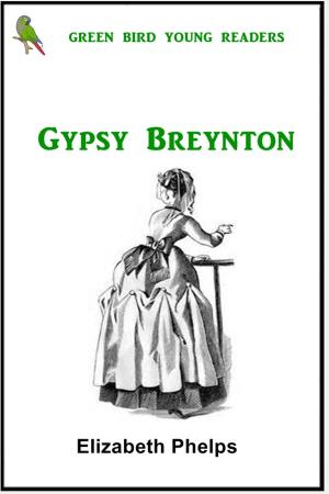 Book cover of Gypsy Breyton