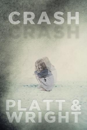 Cover of the book Crash by Krystina Castella