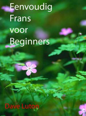 Book cover of Eenvoudig Frans voor Beginners