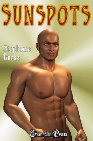 Cover of the book Sunspots (Angel Falls 3) by Danni Price