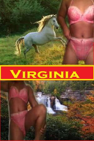 Cover of the book Virginia Gone Wild: by Willa B. Free, Fionna Free Man ( Sex Therapist MD)