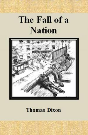 Cover of the book The Fall of a Nation by Richard Washburn Child