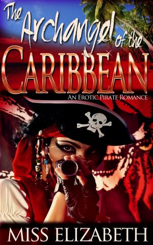 Cover of the book The Archangel of the Caribbean by Steven Mix