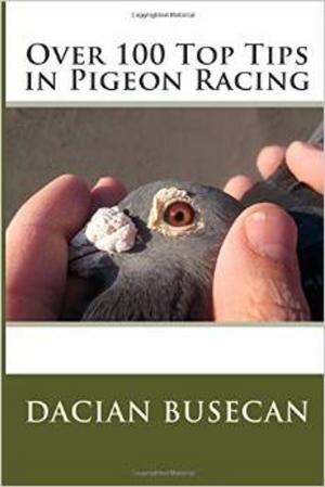 Book cover of Over 100 Top Tips in Pigeon Racing