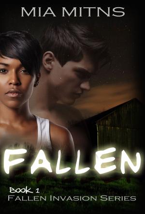 Cover of the book Fallen by S Eric Wachtel