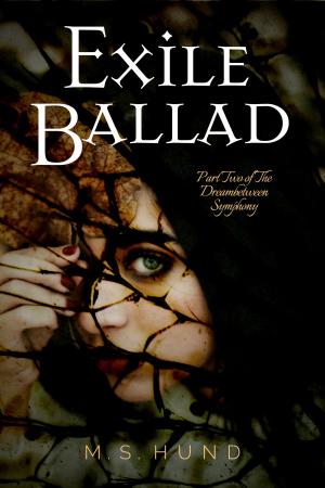 Cover of the book Exile Ballad by Katie Cross