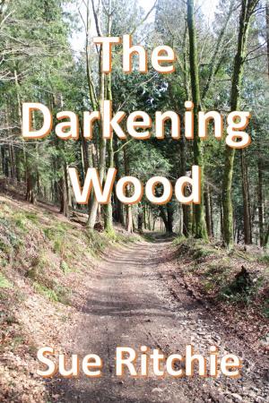 Cover of the book The Darkening Wood by Bryce Washington, Shawn Ethan