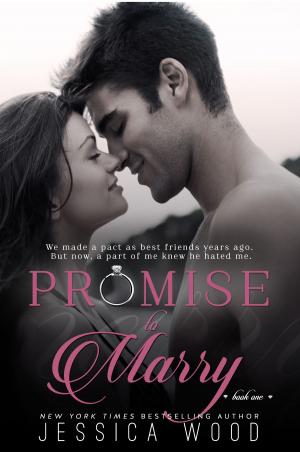Book cover of Promise to Marry