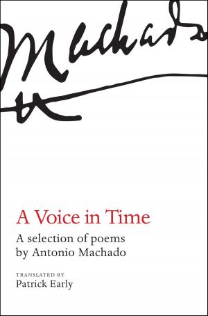 Book cover of A Voice in Time