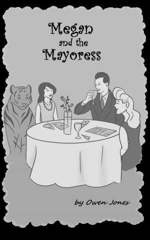 Cover of the book Megan and the Mayoress by Lucy May