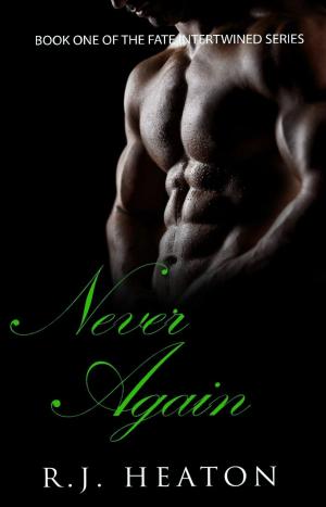 Cover of the book Never Again by Pamela Jane Sorensen