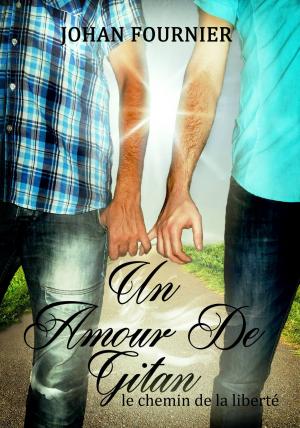 Cover of the book Un amour de gitan by Samara Reeves