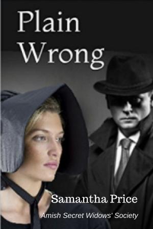 Cover of the book Plain Wrong by S.C Hutchinson