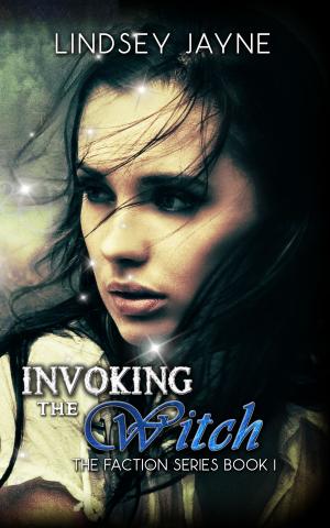Cover of the book Invoking the Witch by Matthew Angelo