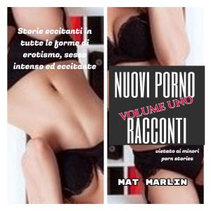Cover of Nuovi porno racconti volume uno (porn stories)