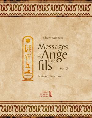 Cover of the book Messages d'un Ange à son fils by Olivier Manitara