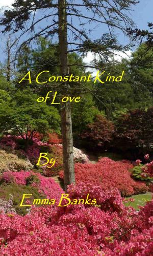 Cover of the book A Constant Kind of Love by Meg Silver