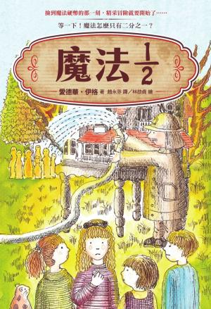 Book cover of 魔法二分之一
