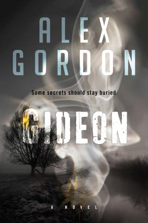 Cover of the book Gideon by Janice Hally