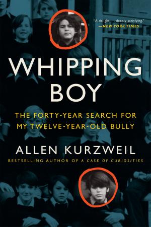 Cover of the book Whipping Boy by Armistead Maupin