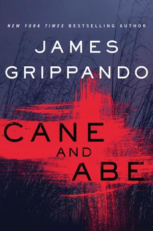 Cover of the book Cane and Abe by Anna Funder