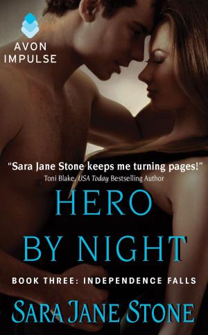 Book cover of Hero By Night