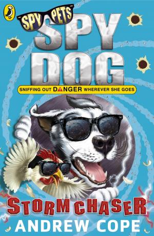 Book cover of Spy Dog: Storm Chaser