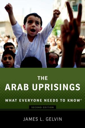 Cover of the book The Arab Uprisings by Elizabeth R. DeSombre
