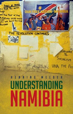 Cover of the book Understanding Namibia by Beth Kreitzer