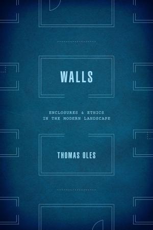 Cover of the book Walls by Delba Winthrop