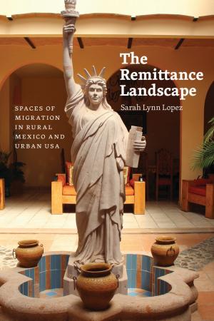 Cover of the book The Remittance Landscape by Alan J. Rocke