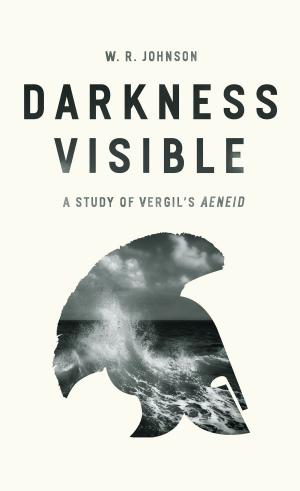 Cover of the book Darkness Visible by Nadia Abu El-Haj