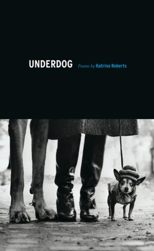 Cover of the book Underdog by Mark A. Rayner