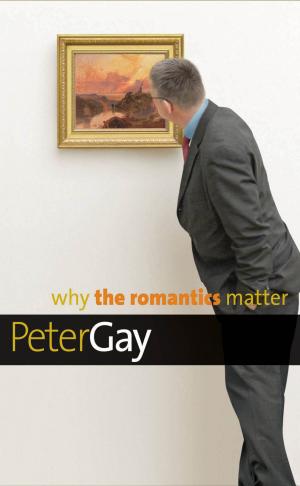 Cover of the book Why the Romantics Matter by Gore Vidal