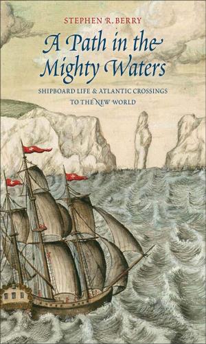 Cover of the book A Path in the Mighty Waters by Berel Lang, Ariella Lang