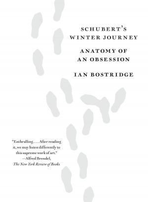 Cover of the book Schubert's Winter Journey by David Santoro