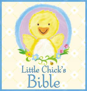 Cover of the book Little Chick's Bible by Todd Hafer