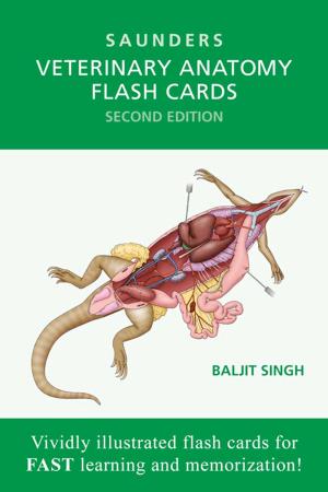 Cover of the book Veterinary Anatomy Flash Cards -- E-Book by Martin L. Lazarus, MD