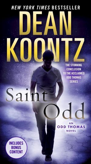 Cover of the book Saint Odd by Cody McFadyen