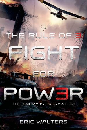 bigCover of the book The Rule of Three: Fight for Power by 