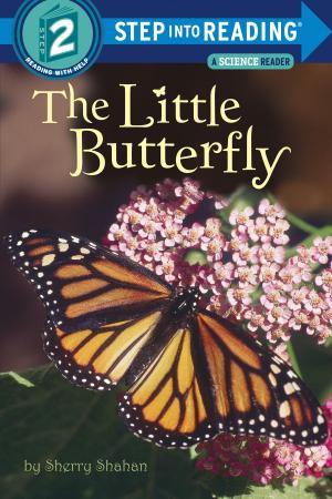 Book cover of The Little Butterfly