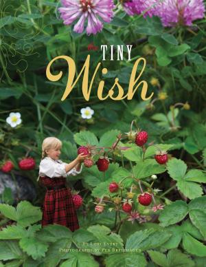 Cover of the book The Tiny Wish by Jarrett J. Krosoczka
