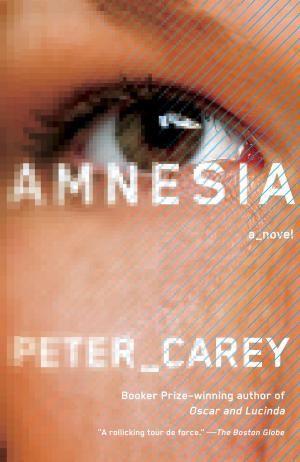 Cover of the book Amnesia by Julie Kavanagh