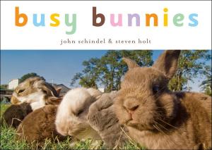 Cover of the book Busy Bunnies by E. Lockhart