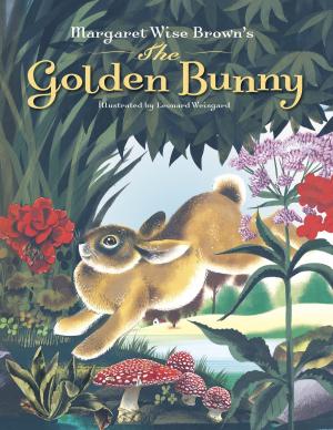 Book cover of Margaret Wise Brown's The Golden Bunny