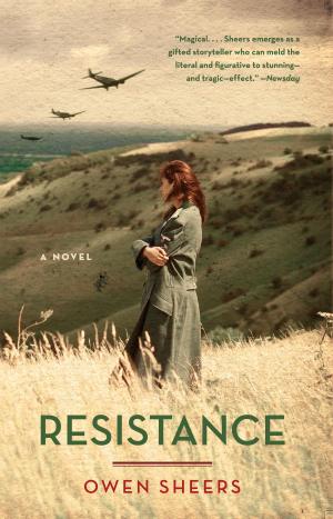 Cover of the book Resistance by Michael Brooks