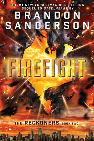 Cover of the book Firefight by Katy Kelly