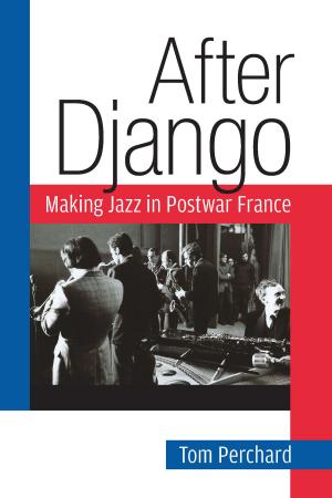 Cover of the book After Django by Julie Novkov