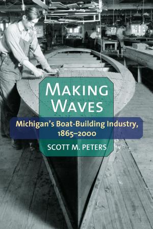 Cover of the book Making Waves by Jami K. Taylor, Donald P. Haider-Markel, Daniel C. Lewis
